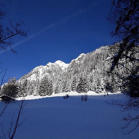 Apartment Haus Schoenwies Alpbach Εξωτερικό φωτογραφία