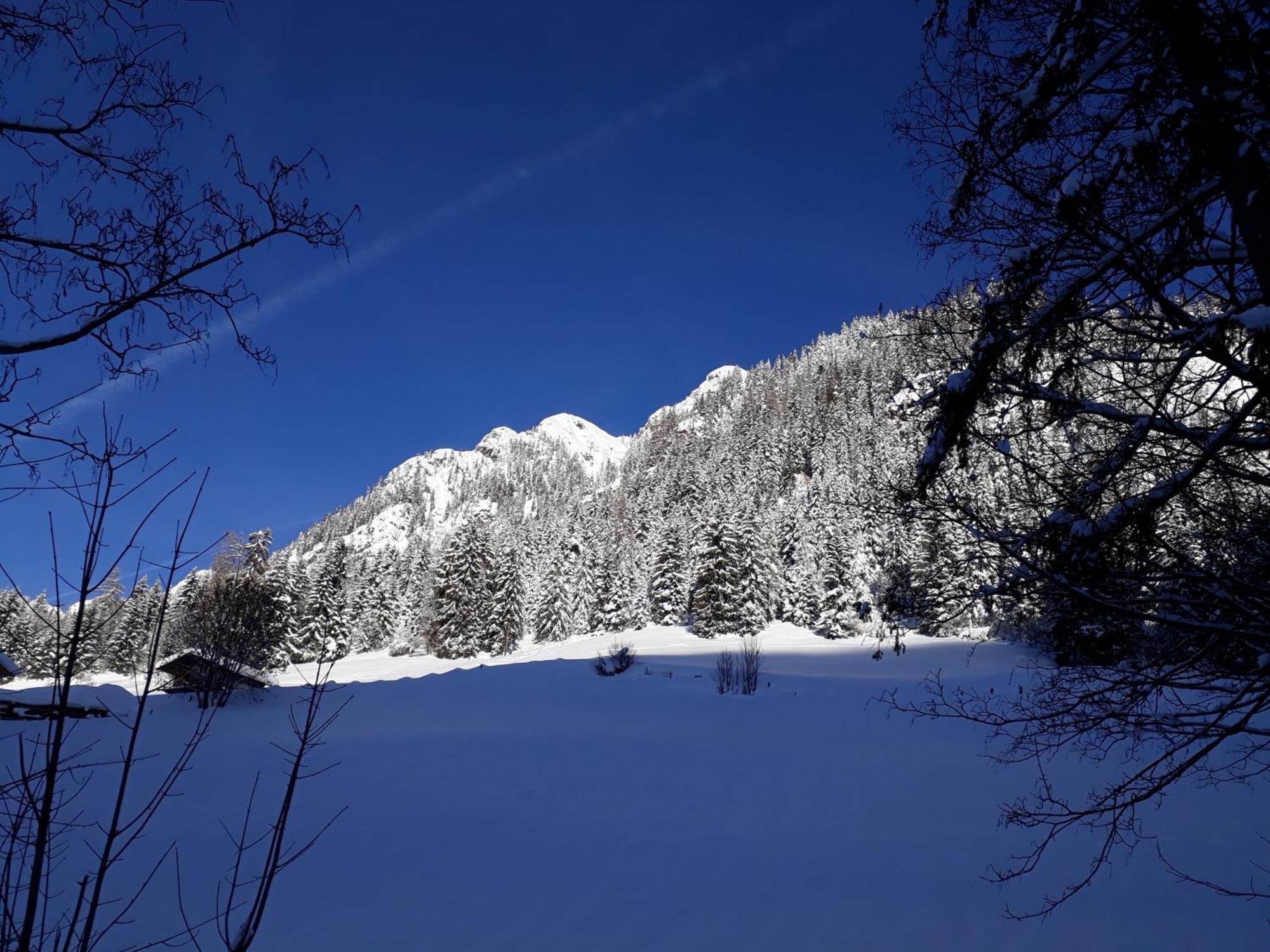 Apartment Haus Schoenwies Alpbach Εξωτερικό φωτογραφία
