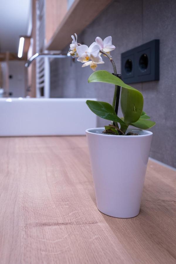 Apartment Haus Schoenwies Alpbach Εξωτερικό φωτογραφία